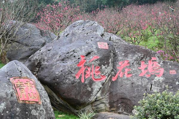 青秀山桃花岛什么时候开