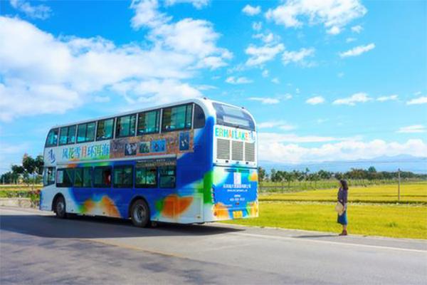 环洱海旅游观光巴士多少钱一张票2024