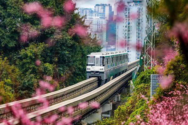 重庆开往春天的列车是几号线