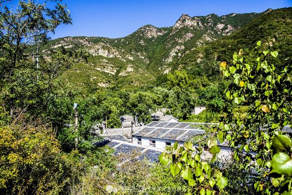 太原賞花的地方有哪些