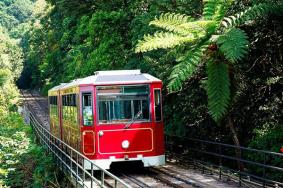 香港太平山缆车票价多少钱2024