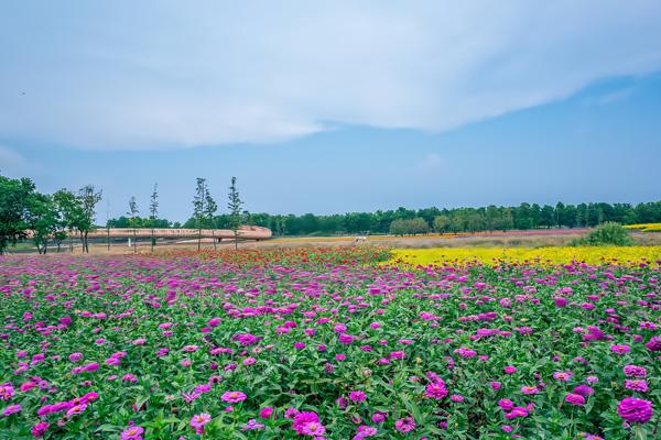 三台山森林公园门票多少钱