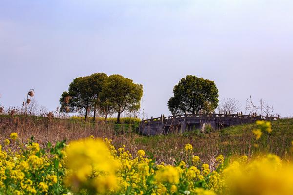 苏州春季赏花景点有哪些