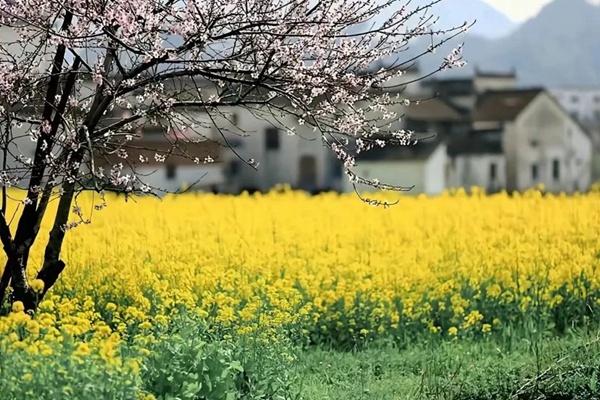 婺源有哪些好玩不要門票的古村落