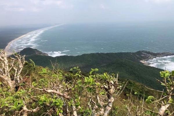 东郊椰林赶海最佳地点