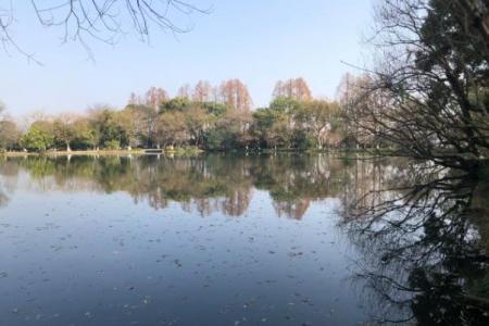 2024西湖景区限行时间和范围