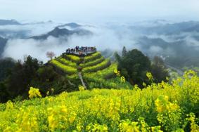 歙縣油菜花哪兒最好