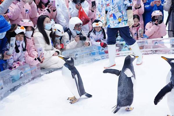 2024广州正佳企鹅冰雪世界门票多少钱