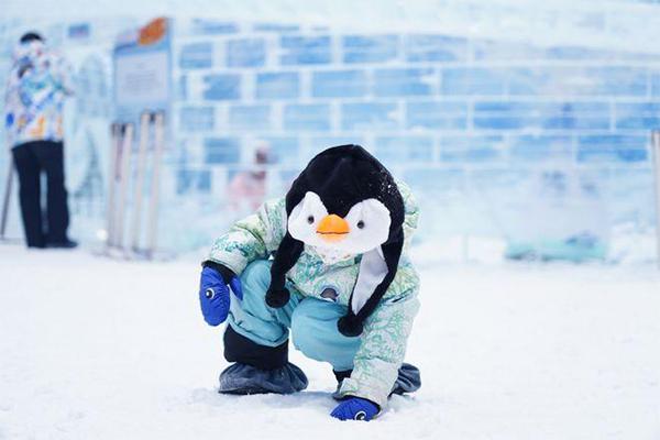 2024正佳企鹅冰雪世界门票优惠政策