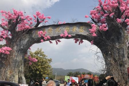 从化天适樱花悠乐园游玩攻略-门票价格-景点信息