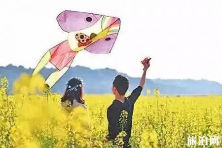 2022重庆广阳岛油菜花观赏攻略