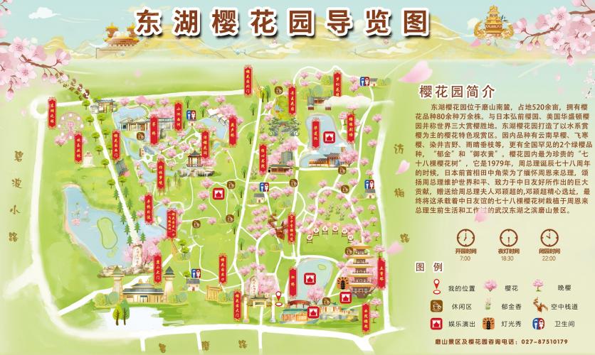 2024武汉东湖樱花园旅游攻略-门票价格-景点信息