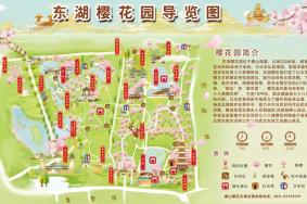 2024武汉东湖樱花园旅游攻略-门票价格-景点信息