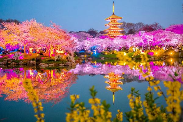 武漢東湖櫻花園門票多少錢一張