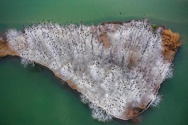 東湖霧凇鳥島在哪？怎么去看比較方便？