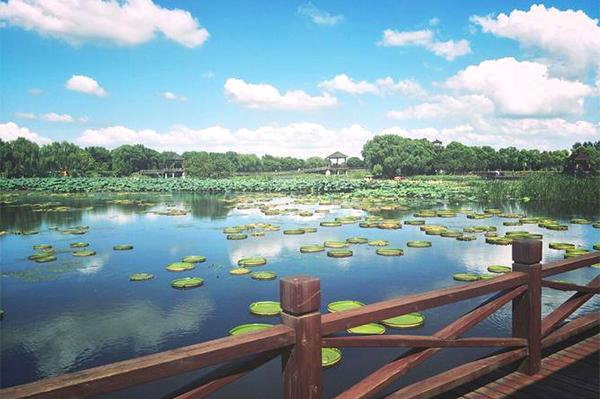 2024荷塘月色湿地公园门票优惠政策