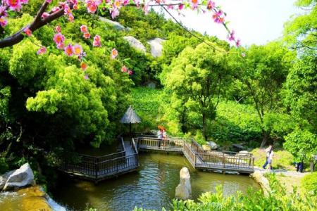 桃花岛桃花寨风景区游玩攻略-门票价格-景点信息