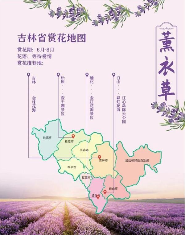 吉林省賞花的地方有哪些