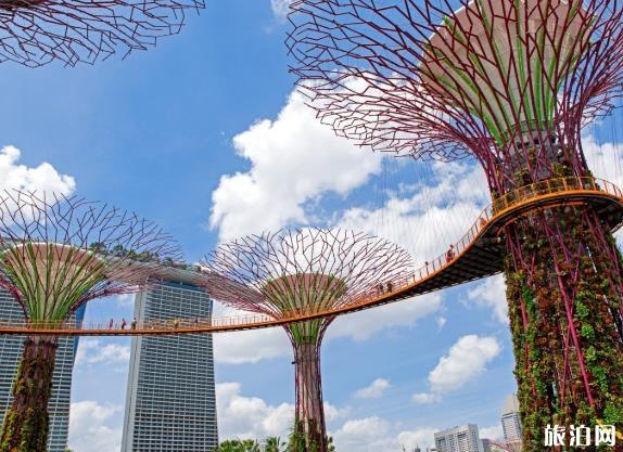 新加坡入境最新消息和规定政策2024年