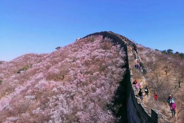 黃花城水長城可以帶狗？帶寵物嗎？