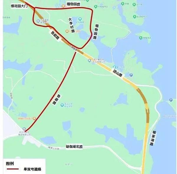 2024武汉赏樱热门景点交通管制