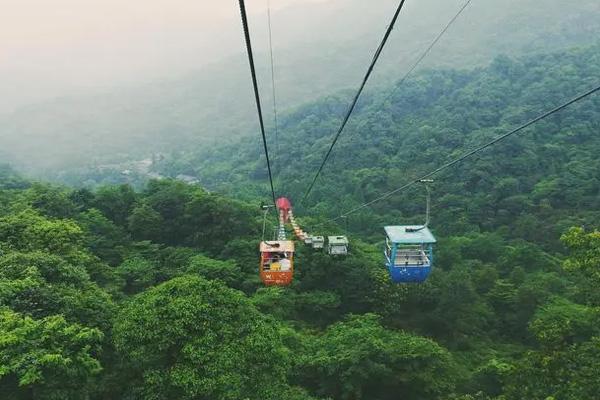 青城山索道到山顶多久