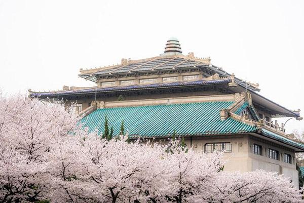 武汉大学樱花从哪个门进