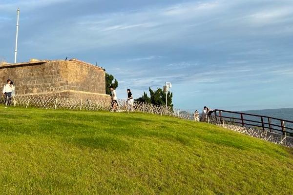 2024小麥島公園要門票嗎