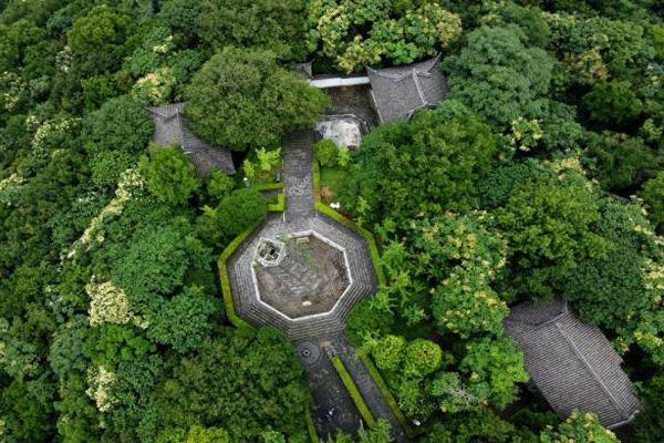 天马山公园和佘山公园哪个好