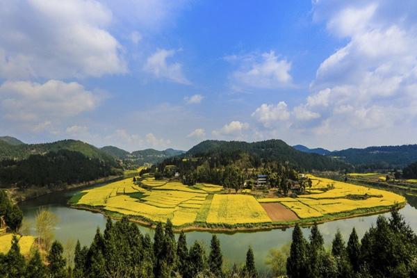 绵阳看油菜花的地方有哪些