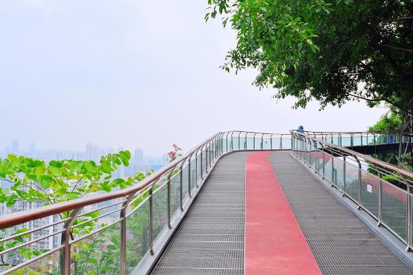 重庆登山步道路线有几条