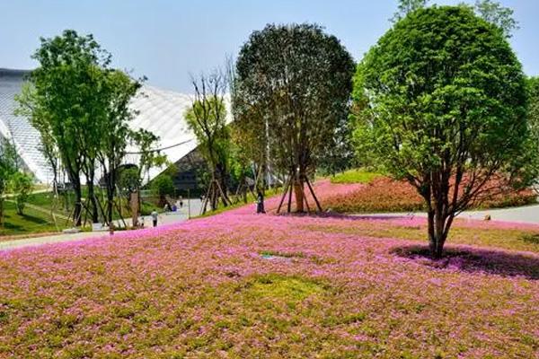 成都植物園適合幾月去