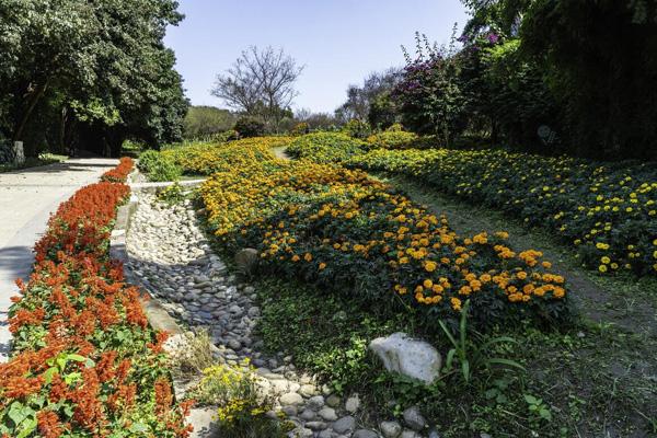 成都植物園在哪兒