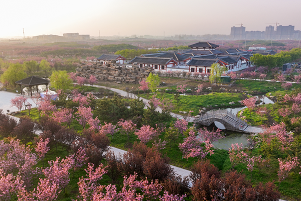 谷陽城遺址公園櫻花什么時候開