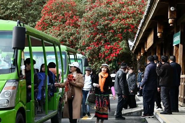 百里杜鵑景區觀光車路線是怎么走的