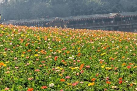 重庆铜梁奇彩梦园旅游攻略-门票价格-景点信息