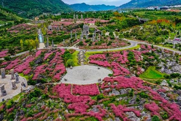 疊石花谷什么時候開花