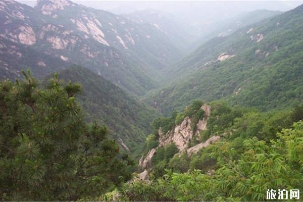 2024孝昌双峰山国家森林公园游玩攻略-门票价格-景点信息