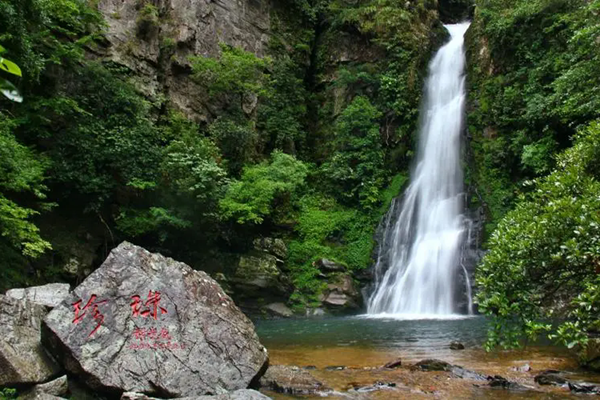 井岡山春季有哪些值得打卡的景點