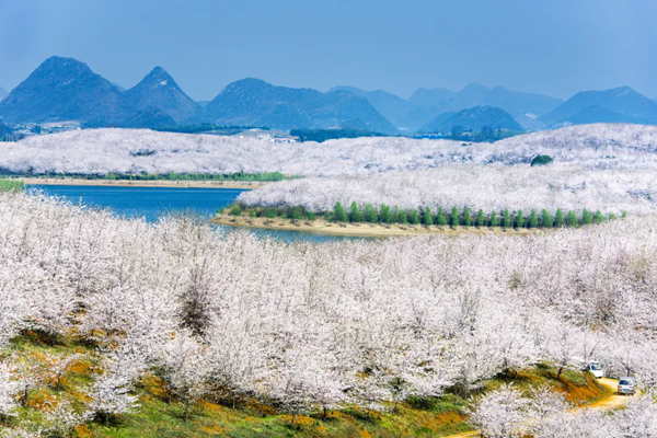 贵州有哪些适合春季去的研学目的地
