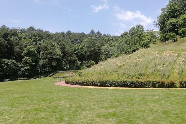 南湖多彩植物園門票優惠政策