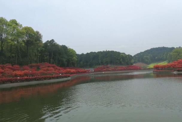 南湖多彩植物園門票優惠政策