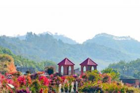 高州粤龙山风景区在哪