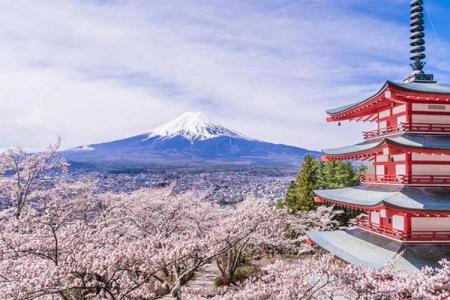 2024日本樱花最佳观赏时间 日本哪里樱花好看