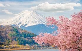 2024日本樱花最佳观赏时间 日本哪里樱花好看