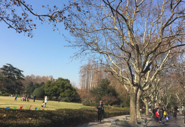 2024上海中山公园游玩攻略-门票价格-景点信息