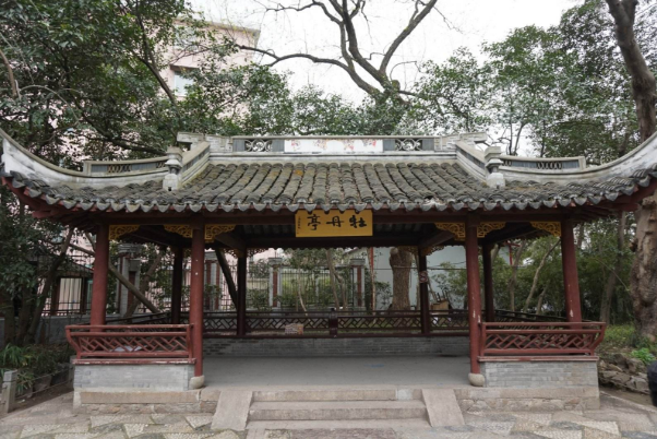 2024上海中山公园游玩攻略-门票价格-景点信息