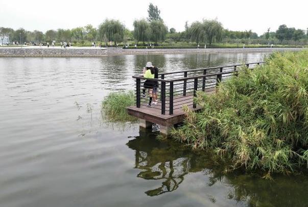 郑州野餐有什么好地方