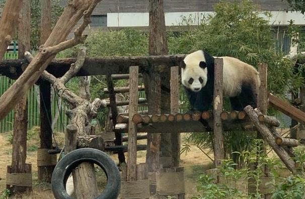 2024武汉动物园门票多少钱-优惠政策