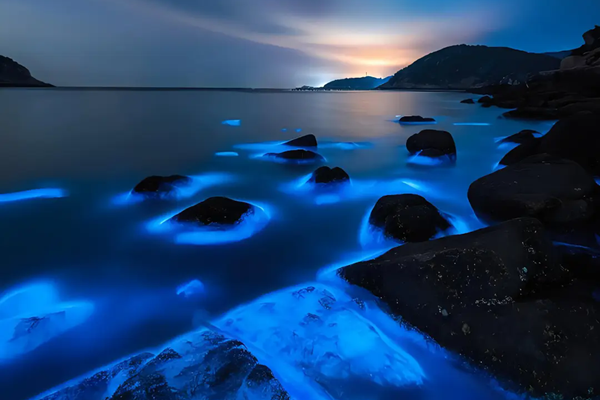 海陵島藍眼淚在哪個沙灘